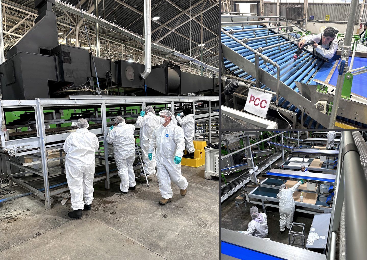 Cuadrilla de TYCHE en labores de aseo dentro de una planta de packing